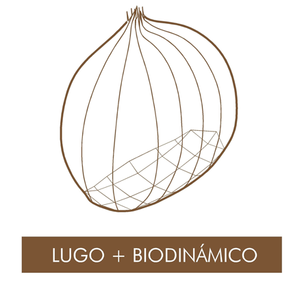 Networking with LIFE Lugo + Biodinámico